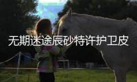 http://c8245.zhantong8.cn/html/21e0799971.html